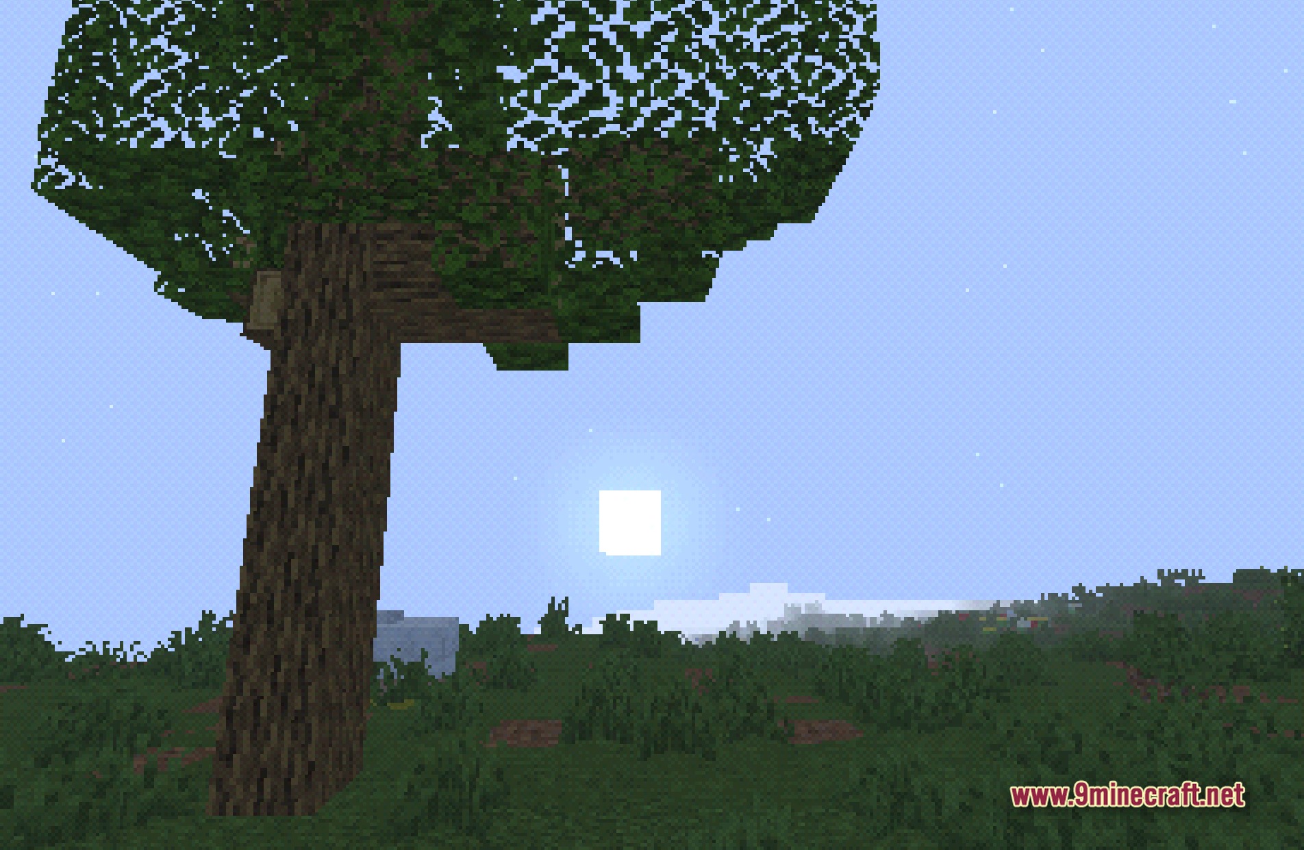 BTB Back to Basics Shaders Screenshot 6