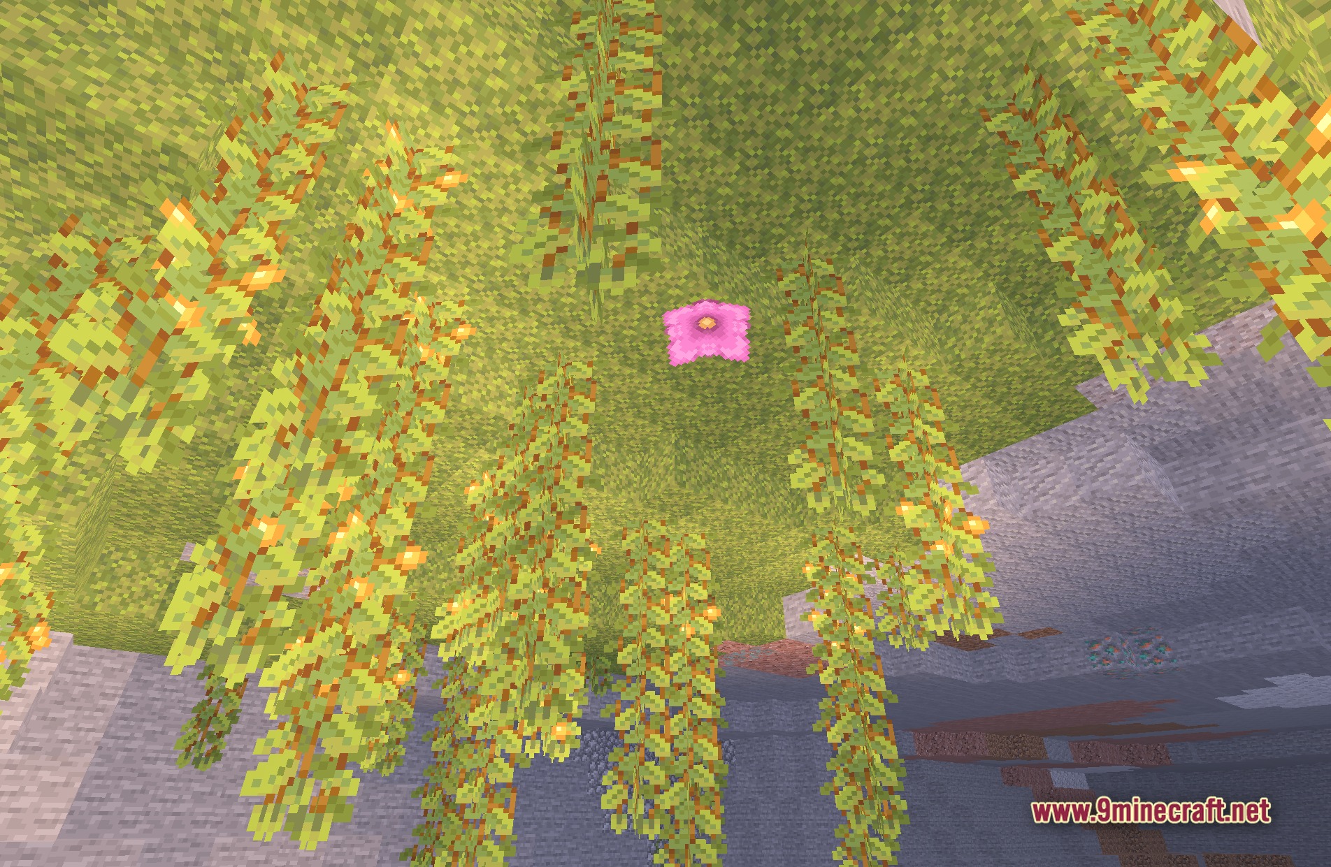 Builder's QOL Shaders Screenshot 3