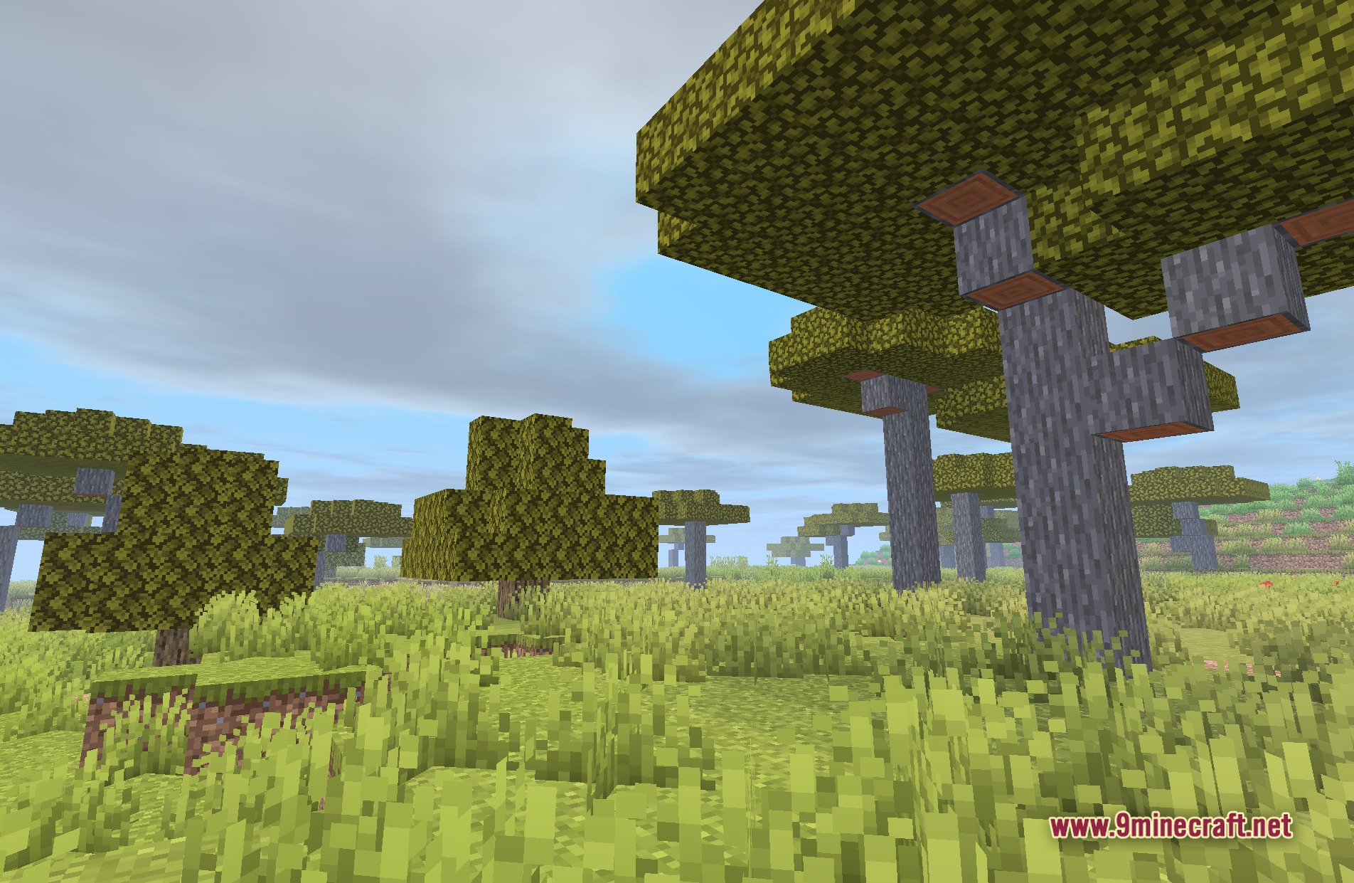 Builder's QOL Shaders Screenshot 8