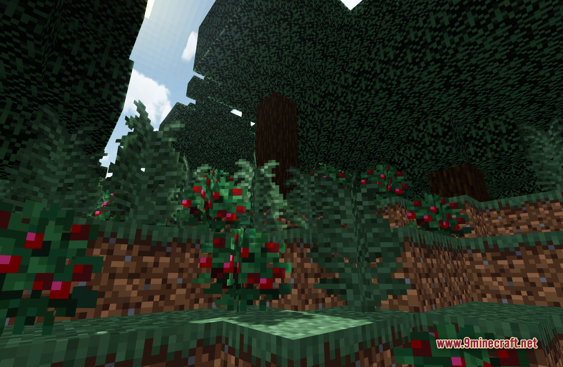 Butter Shaders Screenshot 6