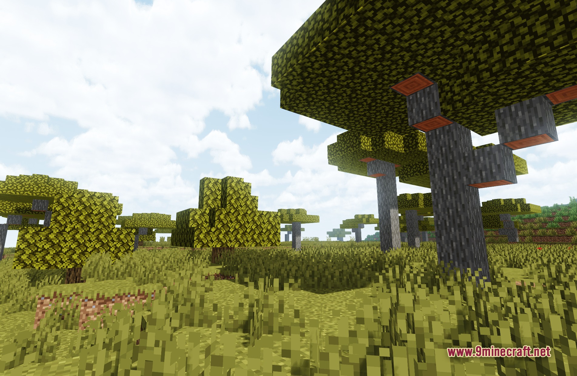 Butter Shaders Screenshot 7