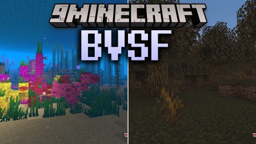 Bvsf Shaders
