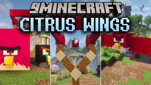 Citrus Wings thumbnail