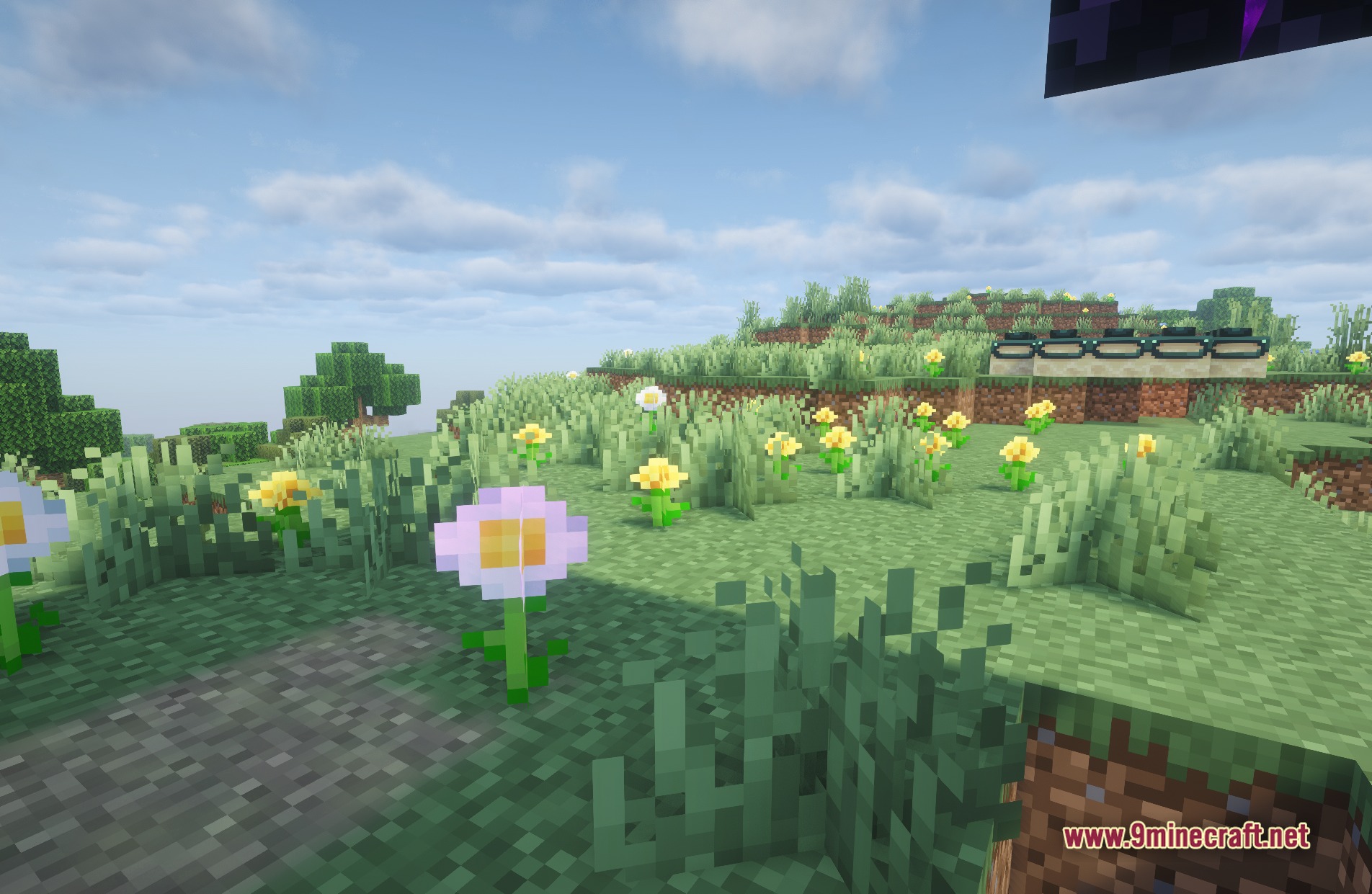 Complementary Unbound HardRock TFC Shaders Screenshot 2