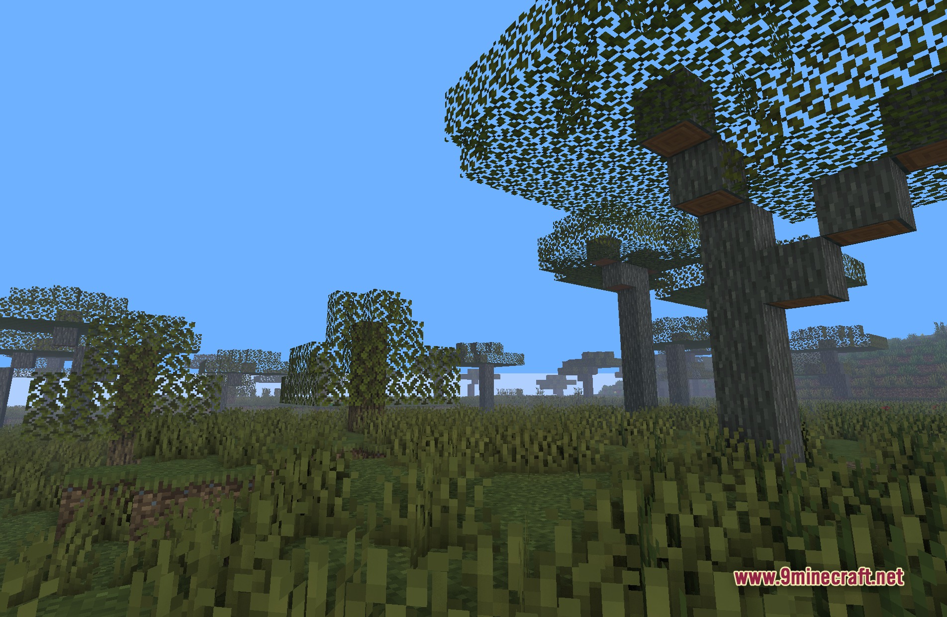 Cozy & Light Shaders Screenshot 2