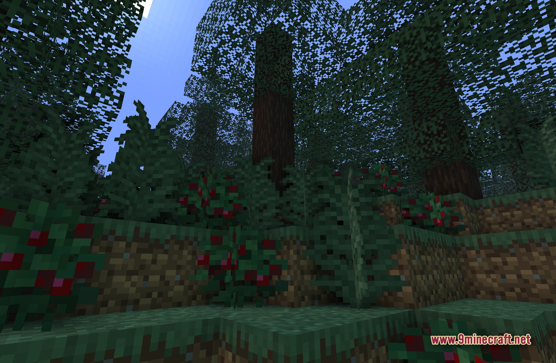 Cozy & Light Shaders Screenshot 3