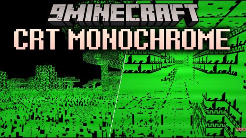 CRT Monochrome Shaders