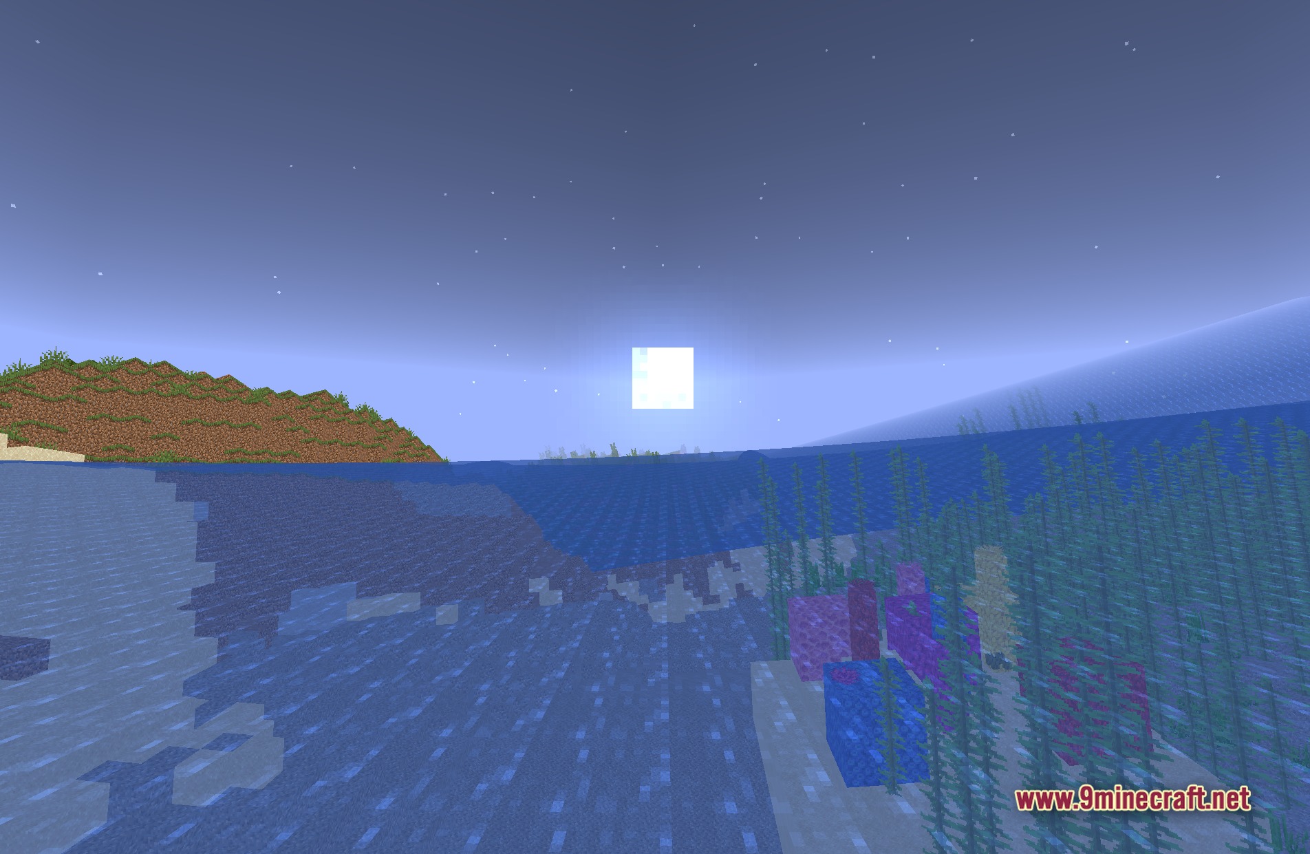 Cursed Metamorphopsia Shaders Screenshot 7