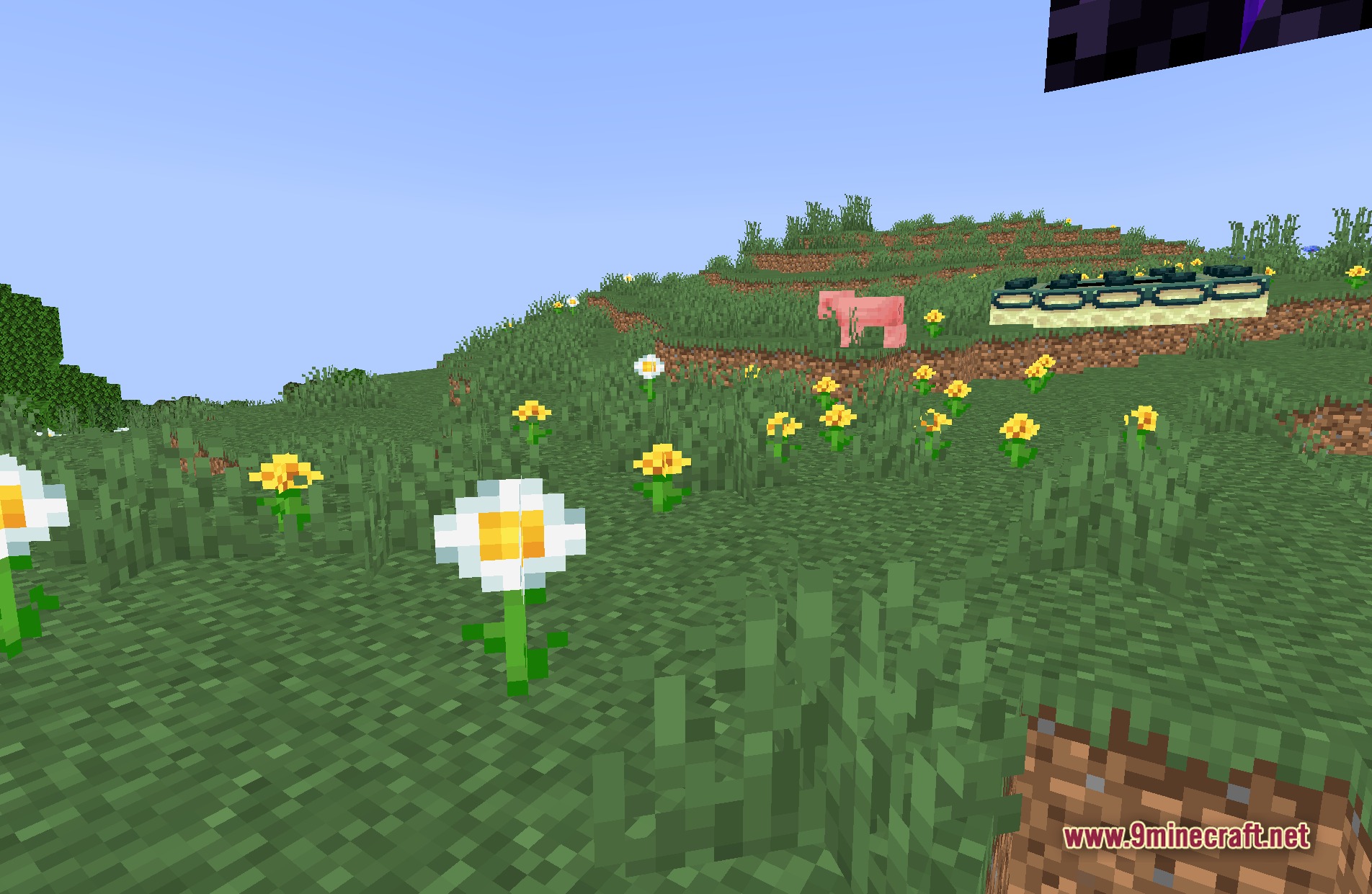 Cursed Metamorphopsia Shaders Screenshot 9