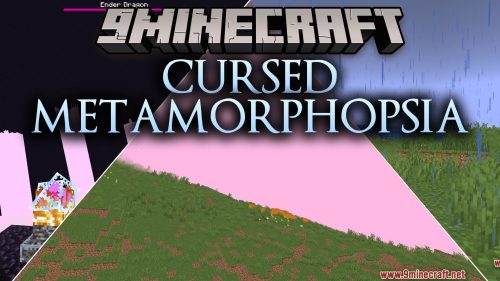 Cursed Metamorphopsia Shaders