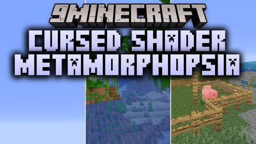 Cursed Shader Metamorphopsia Shaders