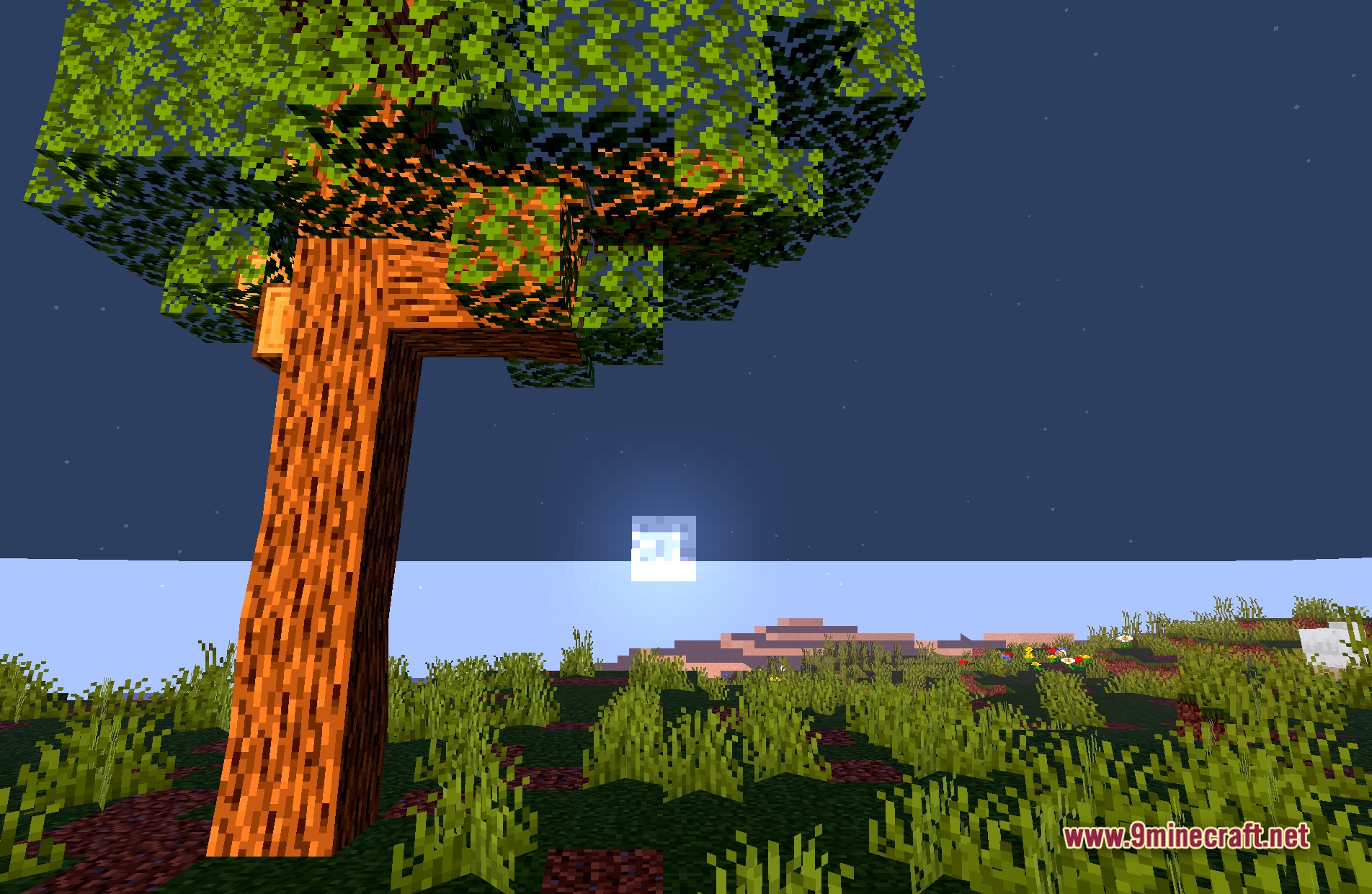 Cursed View Shaders Screenshot 5