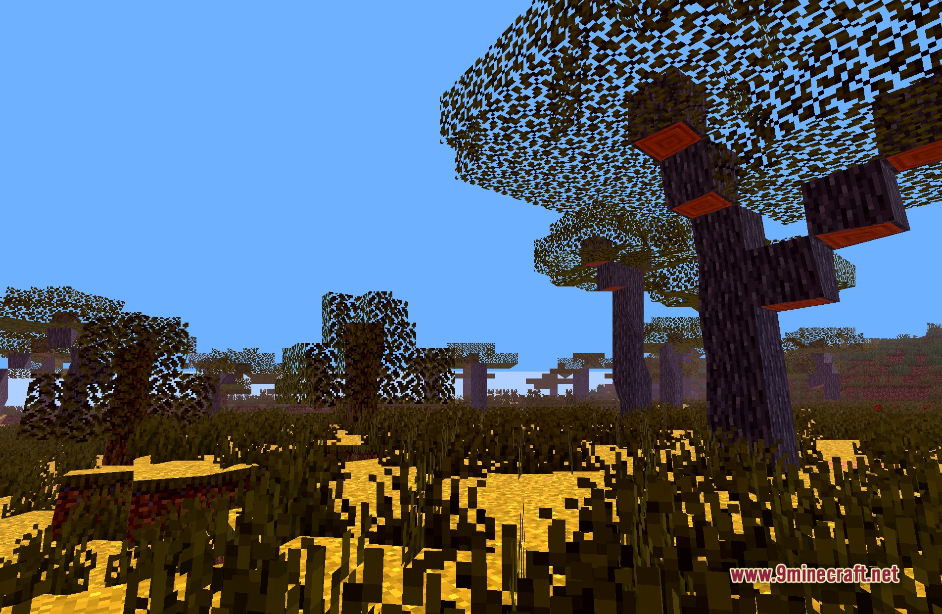 Cursed View Shaders Screenshot 7