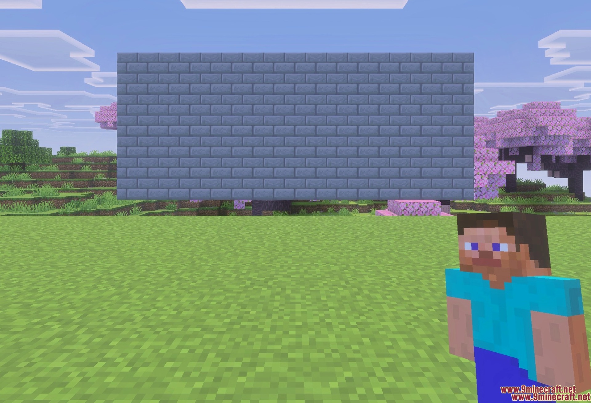 Custom 3D Totem with Player Skin RP Texture Pack Screenshot 1 The totem held in first person - it takes the shape of your own skin