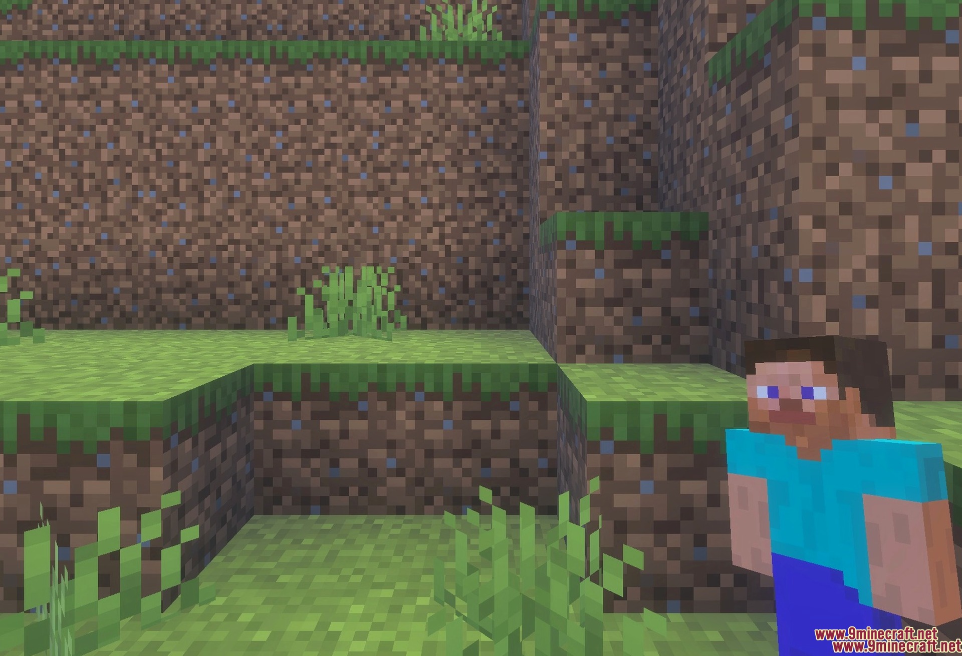 Custom 3D Totem with Player Skin RP Texture Pack Screenshot 2 The 3D totem model seen against the terrain