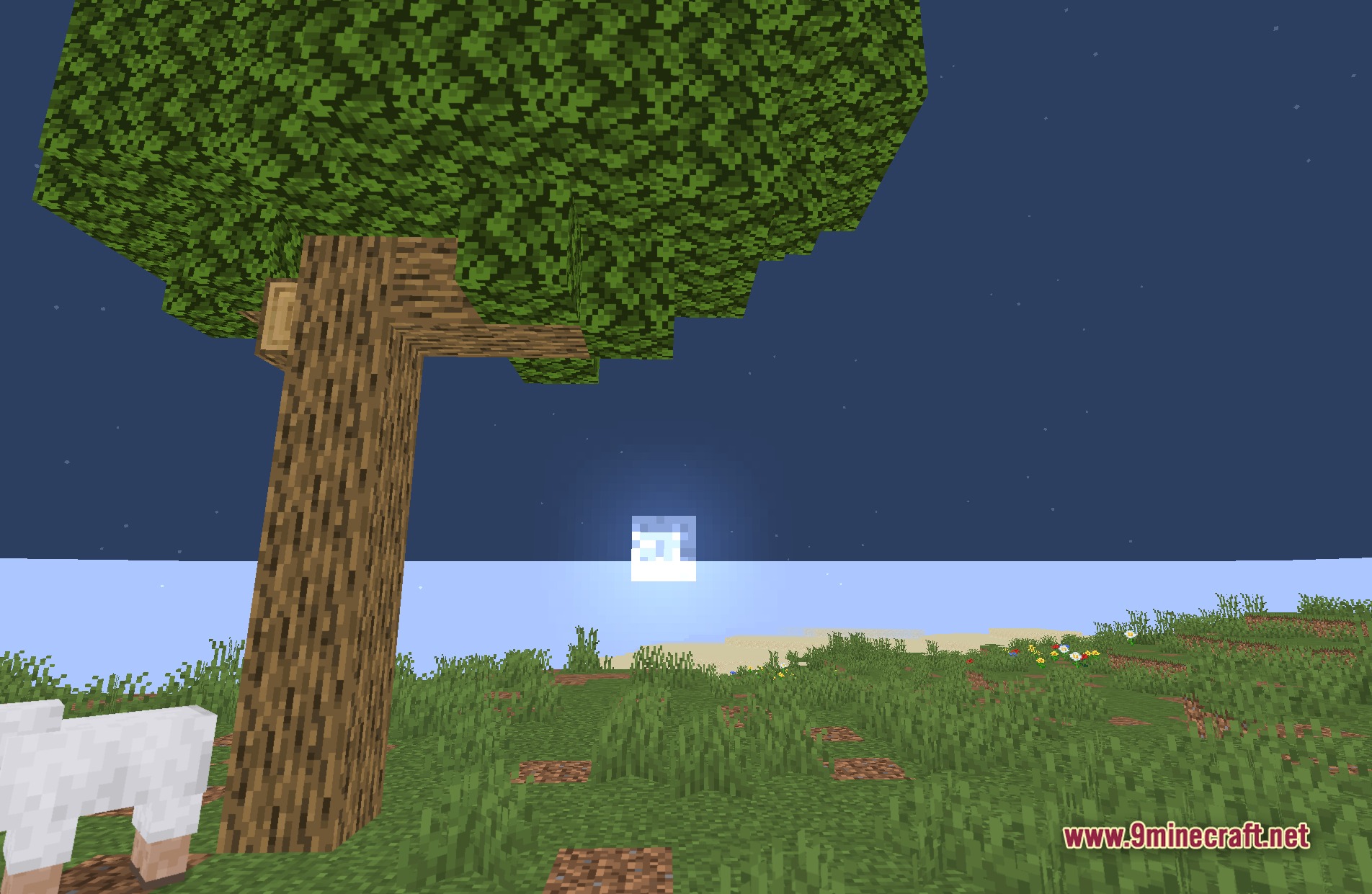 DepthField Shaders Screenshot 4