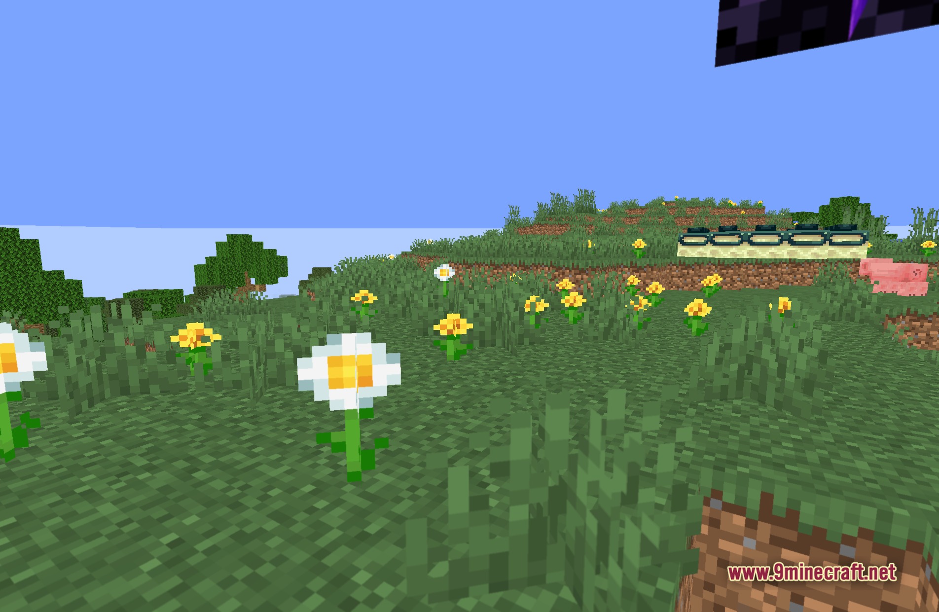 DepthField Shaders Screenshot 10