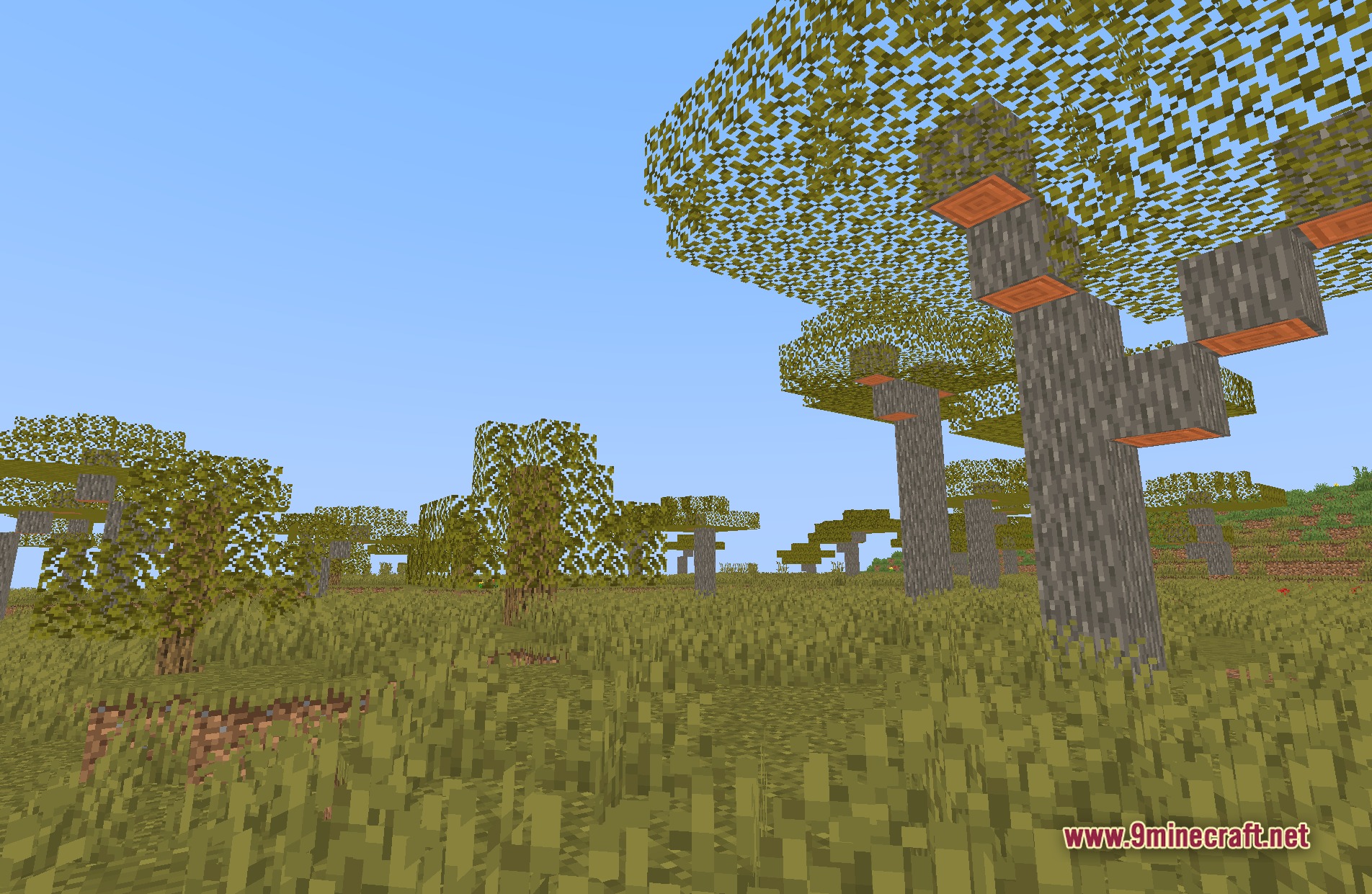 Dynamic Lights Shaders Screenshot 4