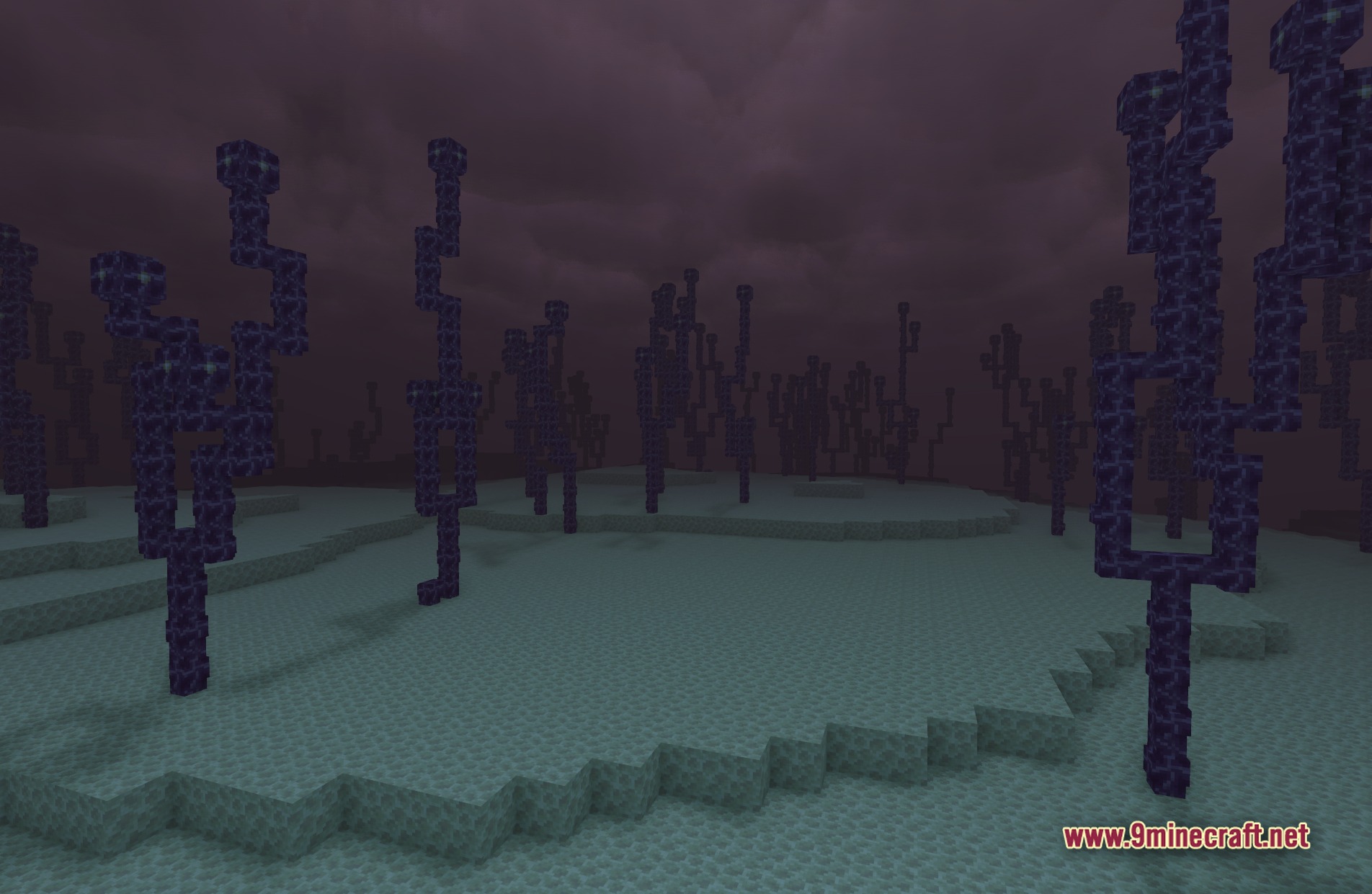 E LITE MakeUp Shaders Screenshot 1