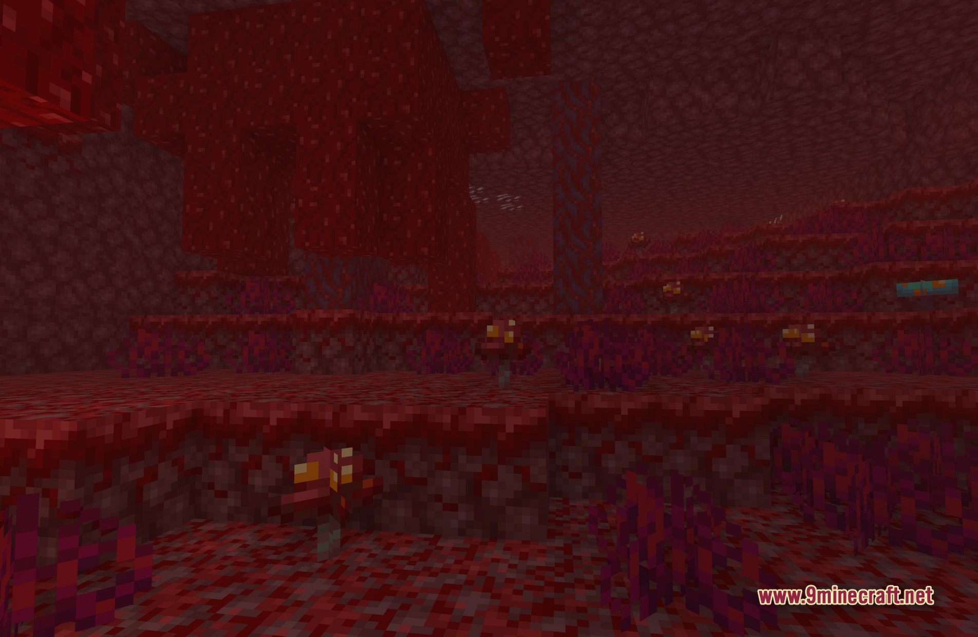 E LITE MakeUp Shaders Screenshot 6