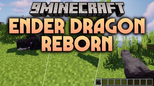 Ender Dragon Reborn thumbnail