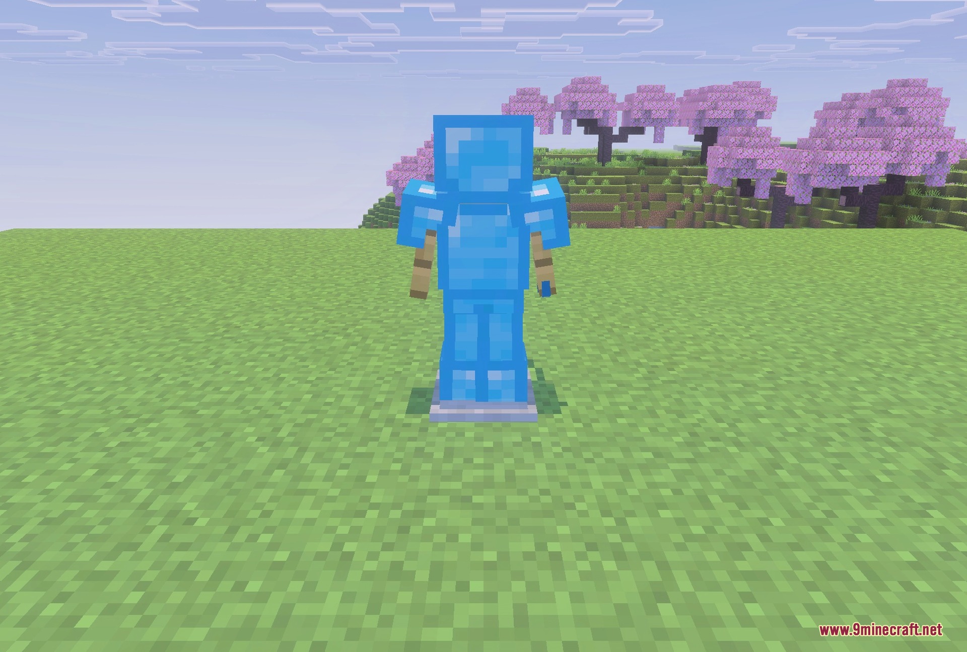 Diamond armour with the pack applied