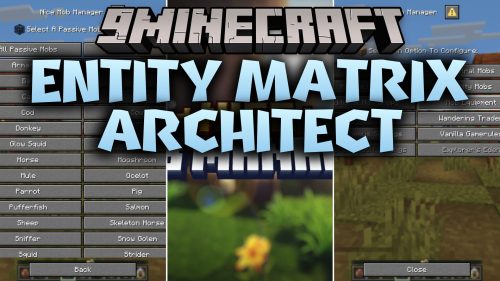 Entity Matrix Architect thumbnail