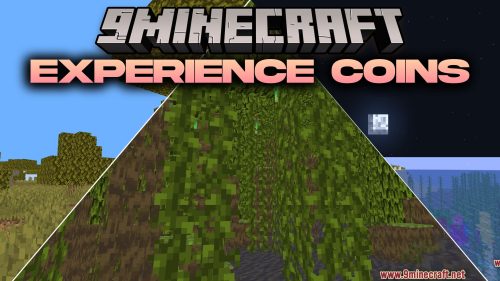 Experience Coins Shaders