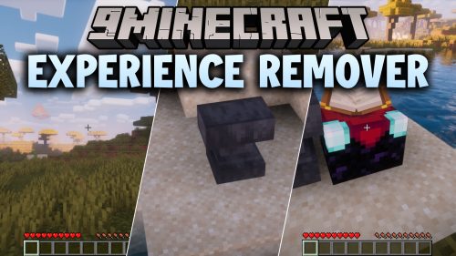 Experience Remover thumbnail