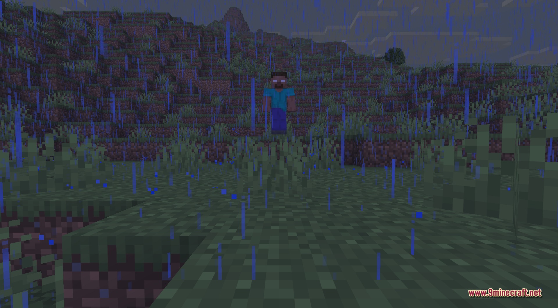 Herobrine standing among tall grass at dusk in the rain, watching the player from across the field with his blank glowing white eyes, faithful to the classic creepypasta look