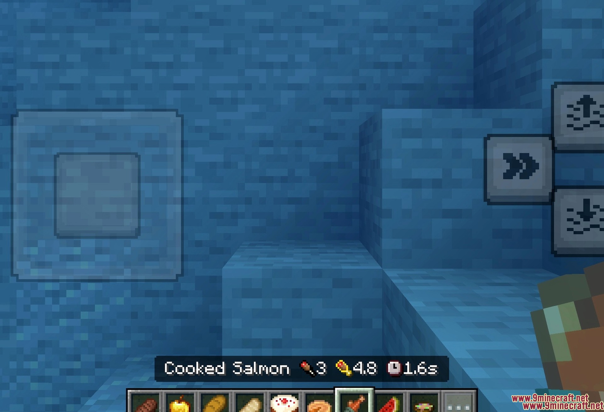 Hunger Points on Food Names Item Info+ Texture Pack Screenshot 6 Every food name carries the same three figures