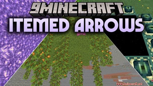 Itemed Arrows Shaders