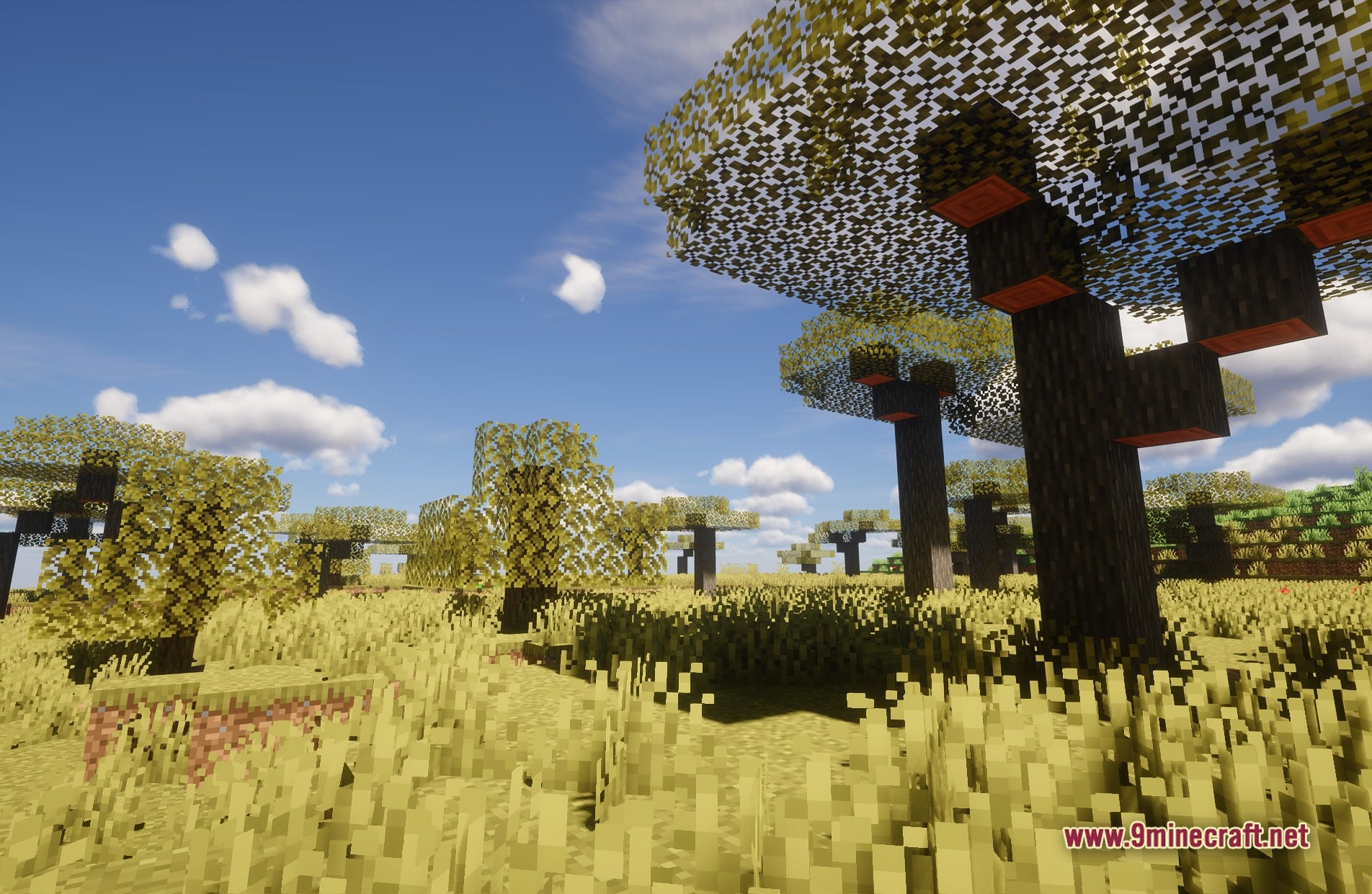 IterationVX Shaders Screenshot 3