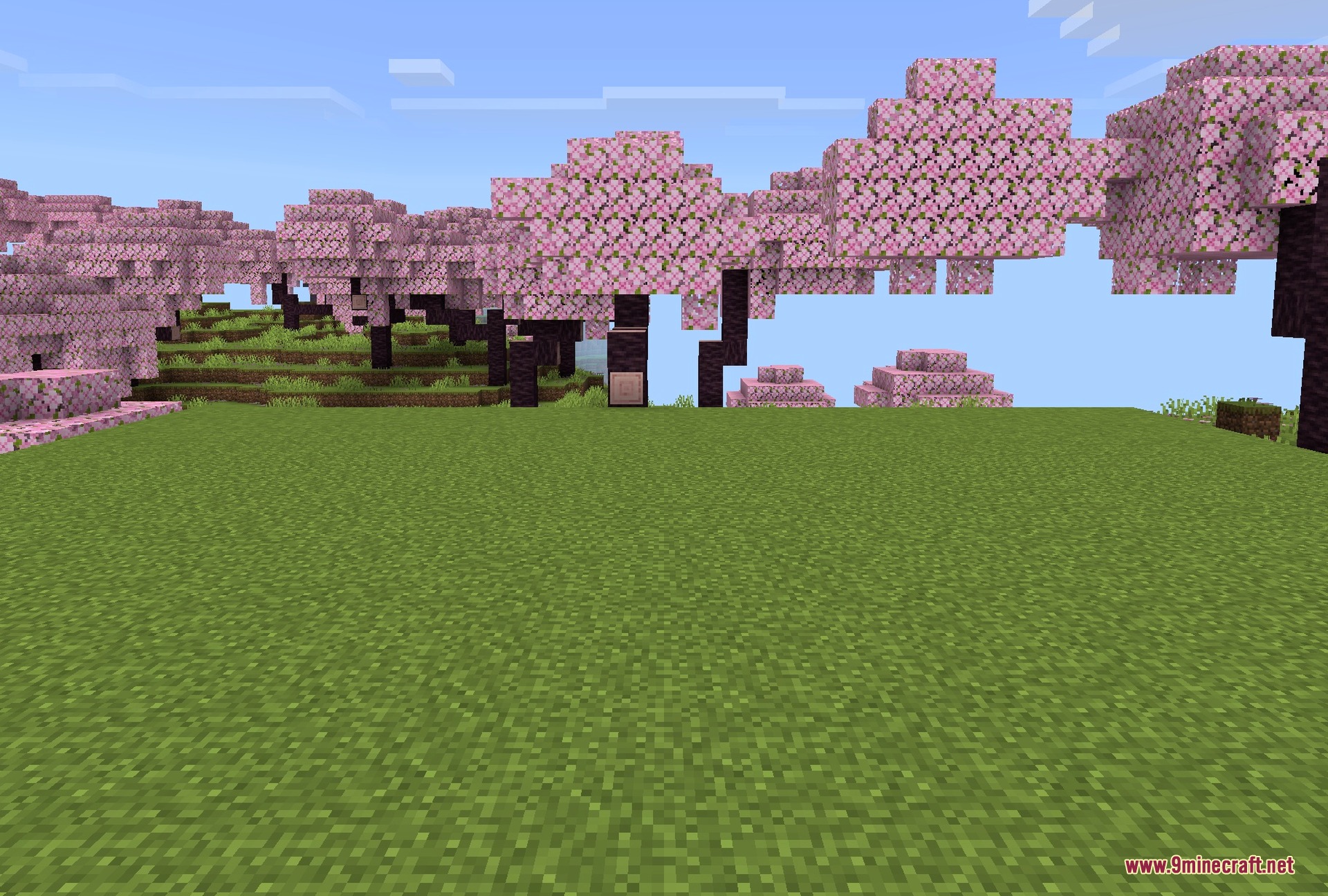 Chicken, pig and cow in the new style