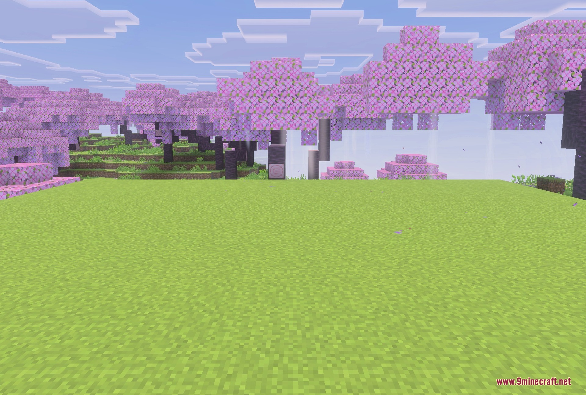 Farm animals with the new textures