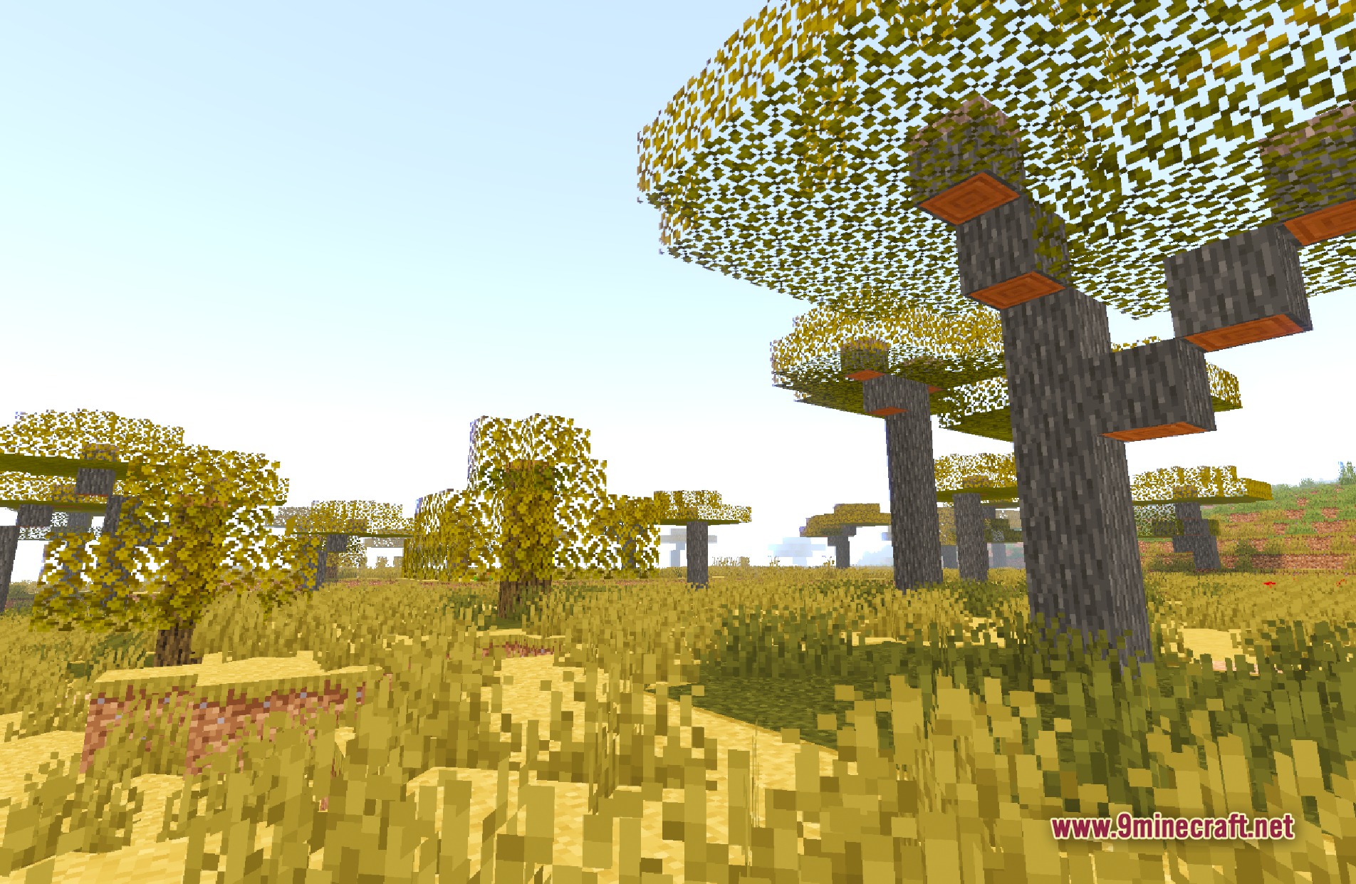 Lantern Shaders Screenshot 1