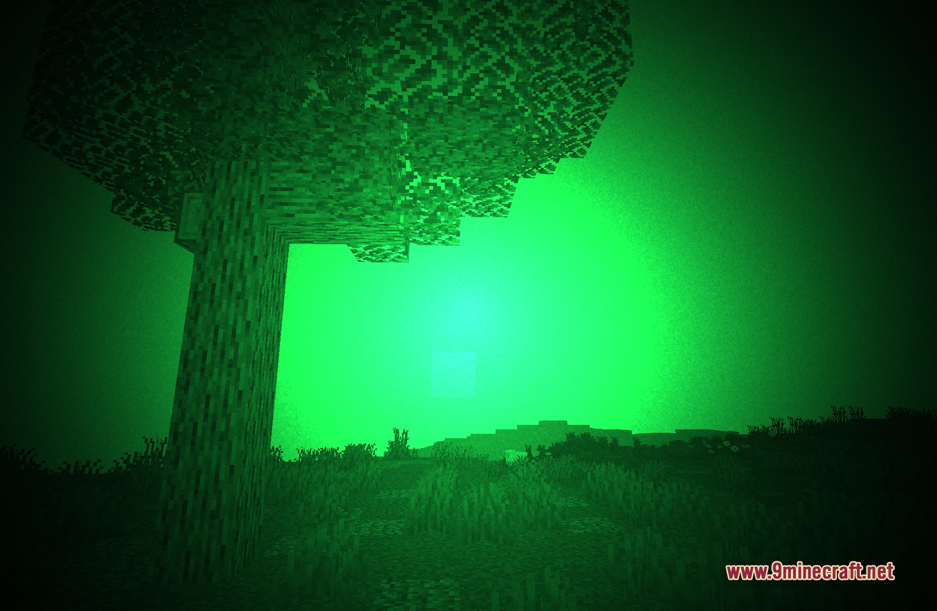 Loé's Night Vision Shaders Screenshot 1