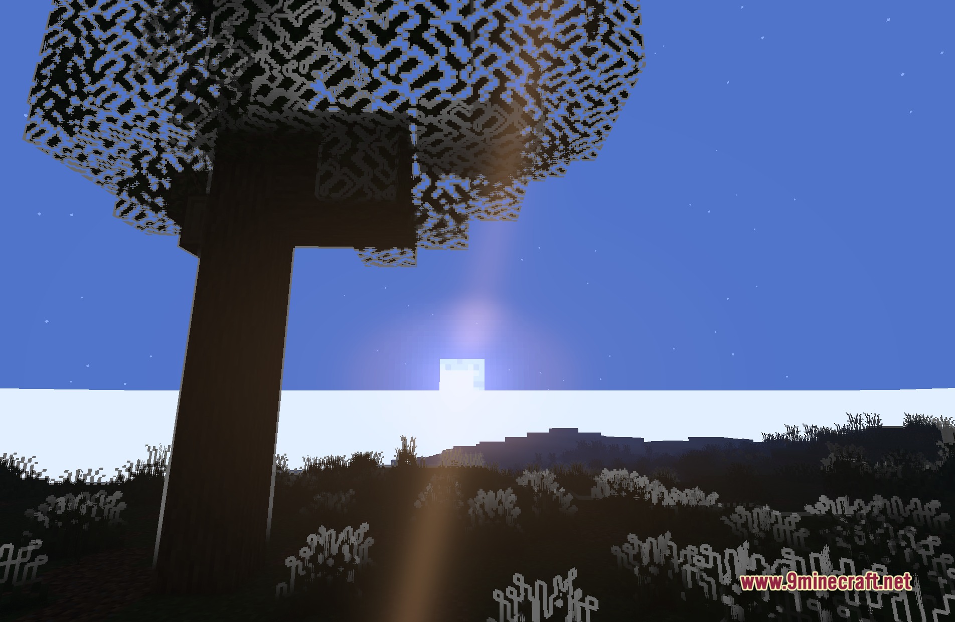 LoShades Shaders Screenshot 3