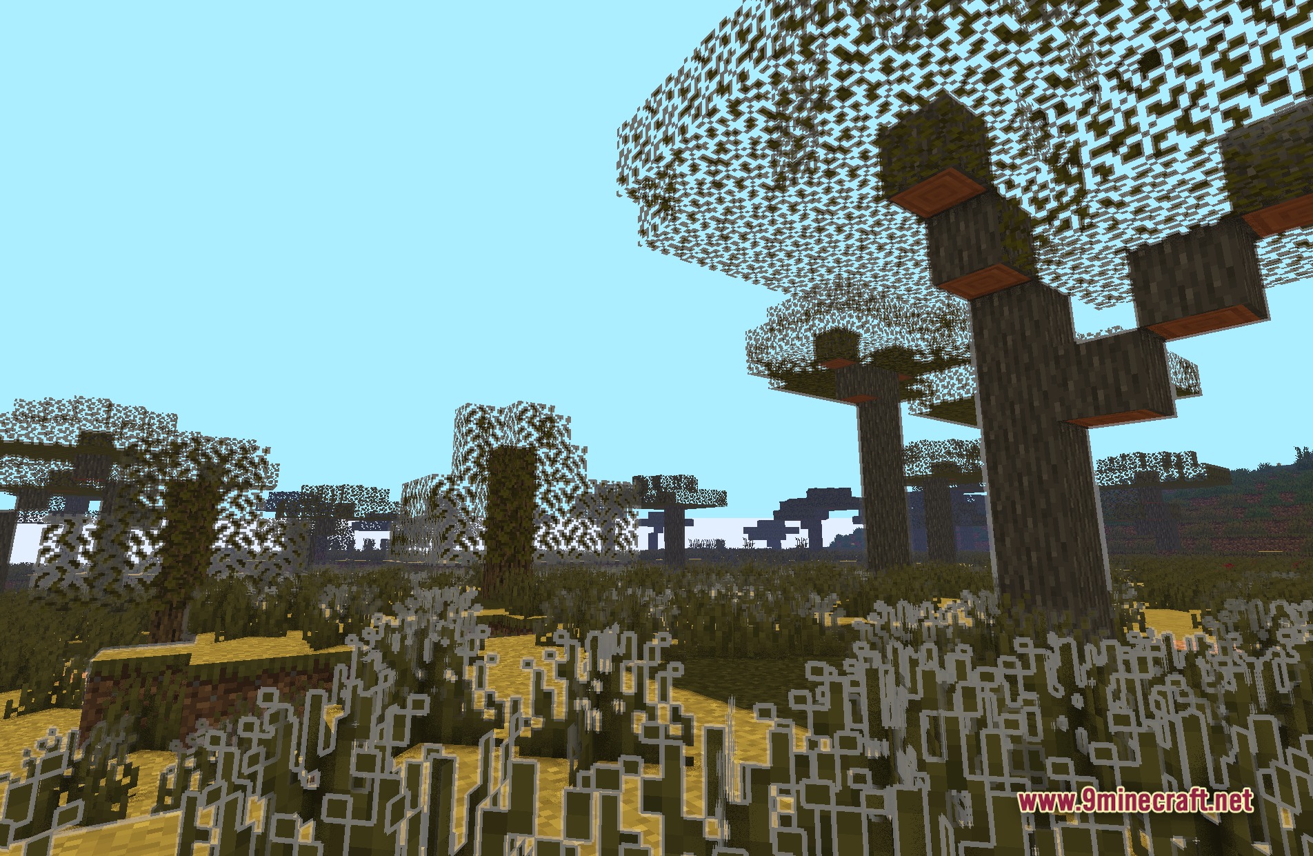 LoShades Shaders Screenshot 4