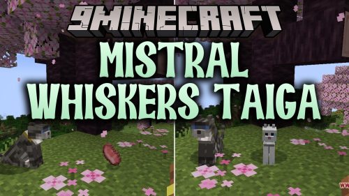 Mistral Whiskers Taiga thumbnail