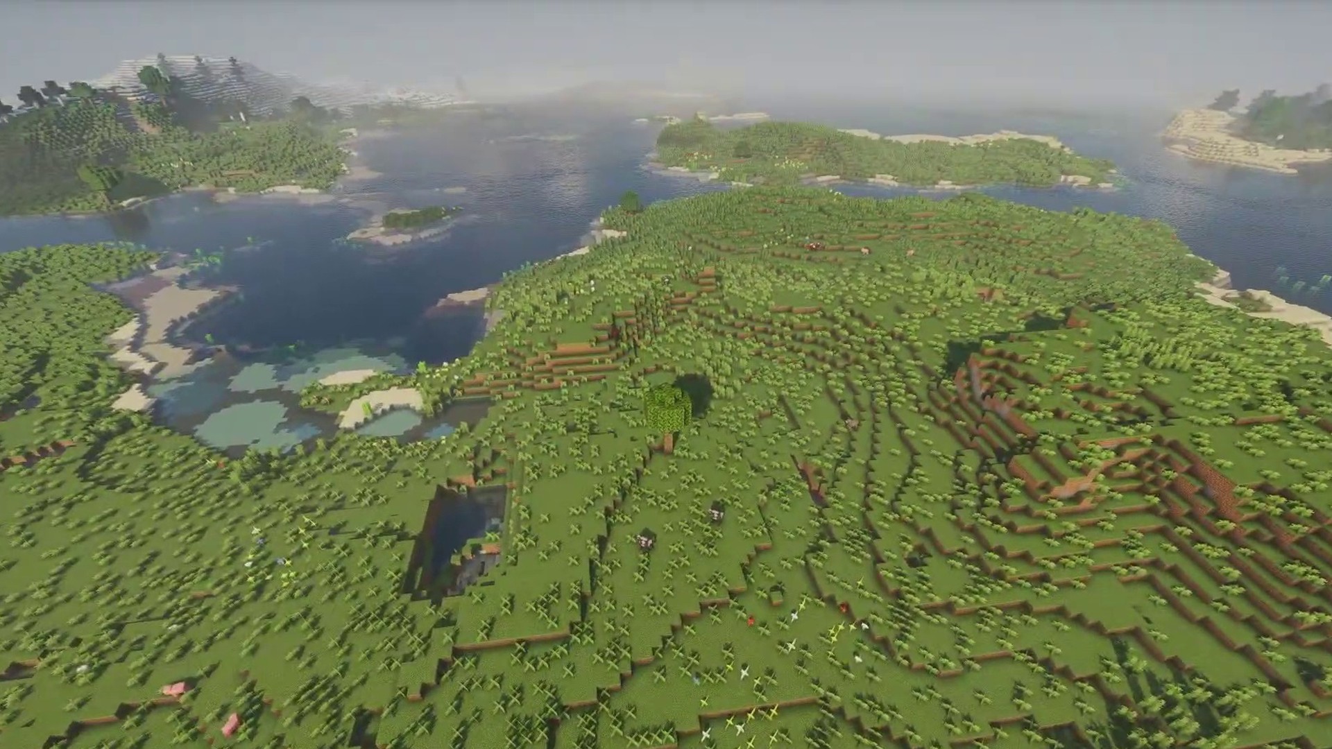 Minecraft seed - seed -8993238667421935637 screenshot 1