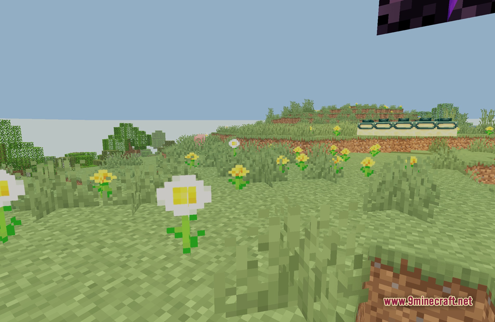 Oriana Shaders Screenshot 7
