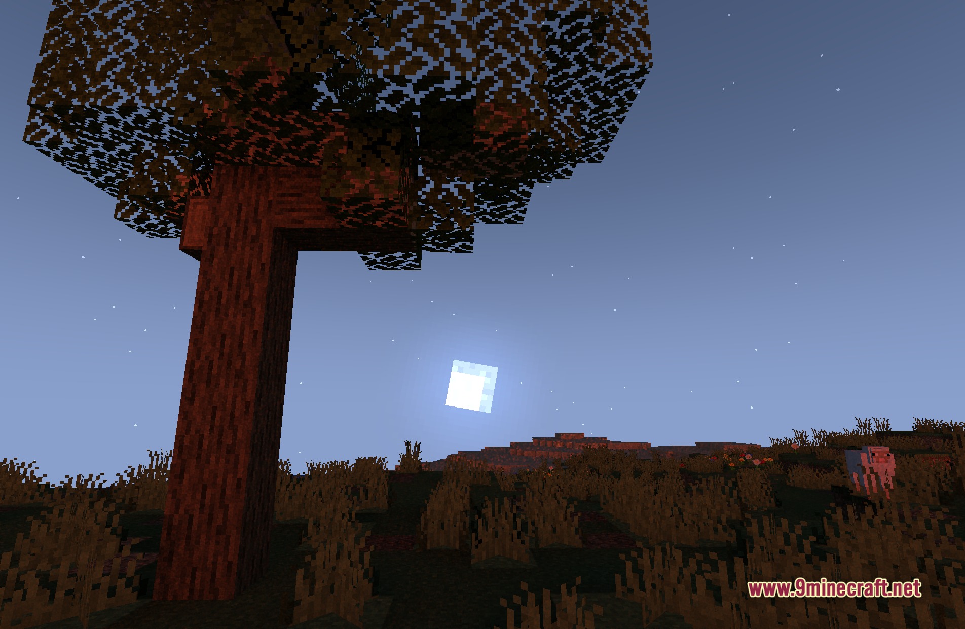 Phoxel PT Shaders Screenshot 9