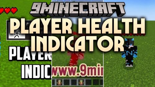 Player Health Indicator Texture Pack thumbnail