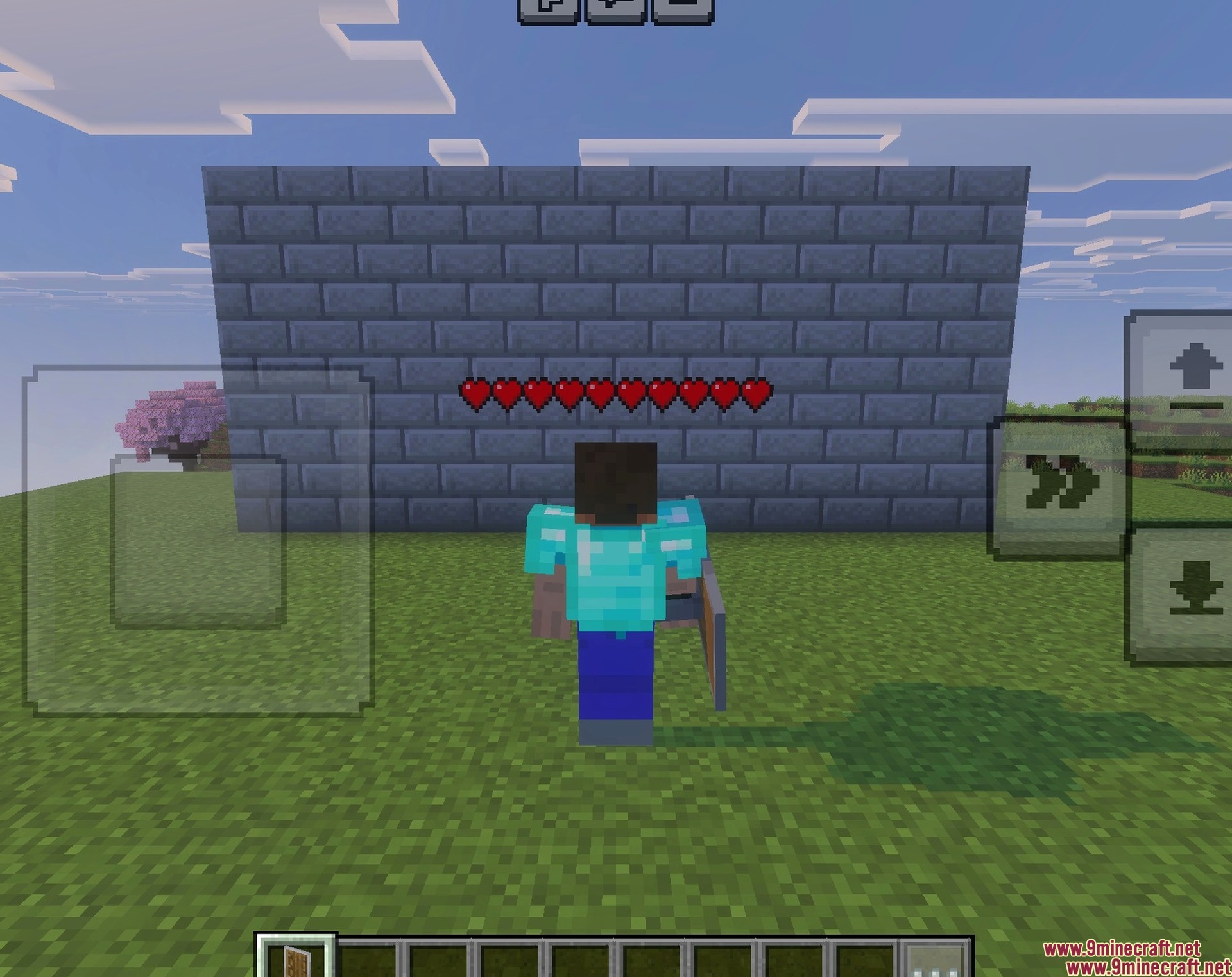 Full hearts floating above the player