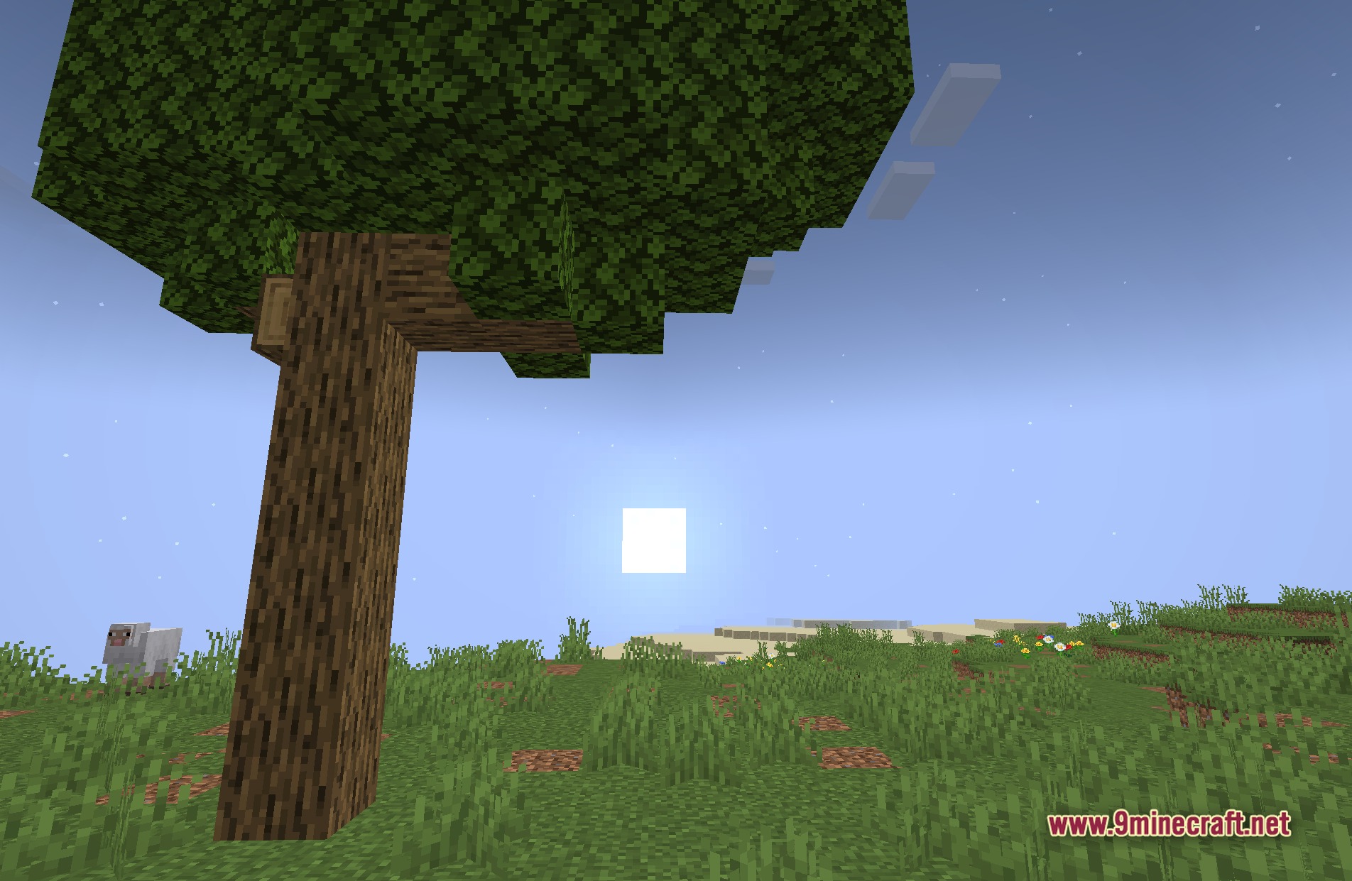 PlunderPixel's Reimagined Shaders Screenshot 1