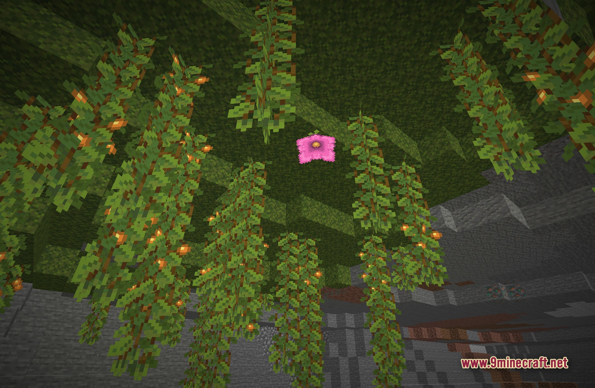 PlunderPixel's Reimagined Shaders Screenshot 9