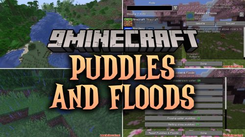 Puddles and Floods thumbnail