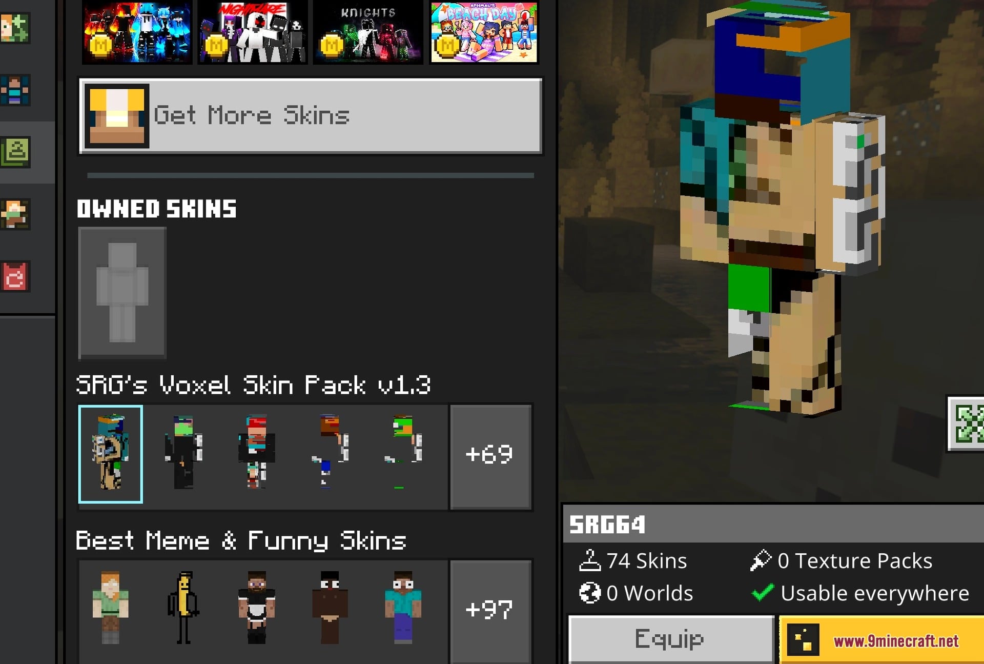 One of the skins worn on the character