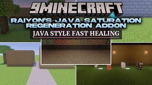 Raiyon's Java Saturation Regeneration Addon (MCPE) Thumbnail